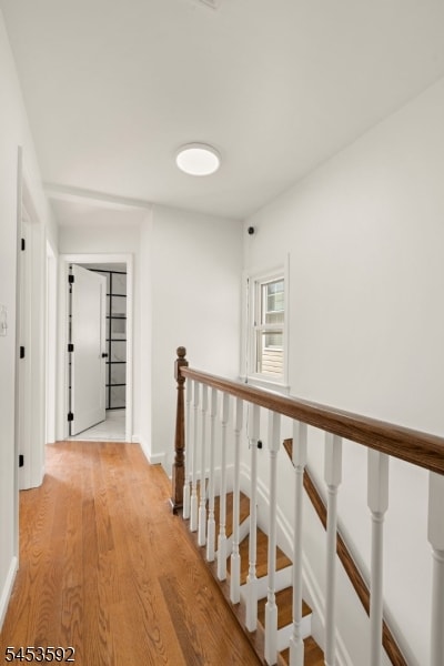 345 Forest St image 15
